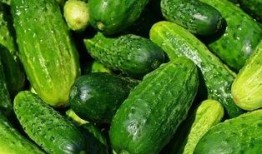 小伶吃瓜全部,揭秘娱乐圈背后的那些事儿