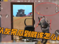 吃鸡呆瓜队友,呆瓜队友的欢乐日常