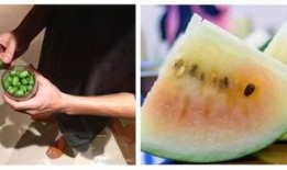 夏天味道吃瓜群众,吃瓜群众共享清凉滋味