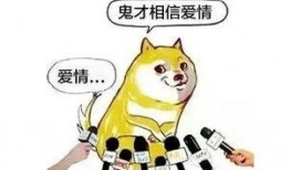 带你吃瓜青蛙,带你领略“吃瓜青蛙”的独特魅力