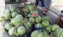 利川吃瓜事件,一场网络狂欢背后的真相与反思