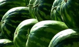 吃瓜小绿,揭秘娱乐圈那些不为人知的幕后故事