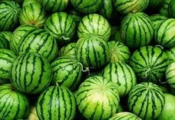 吃瓜群l,一场网络社交的狂欢盛宴