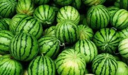 吃瓜群l,一场网络社交的狂欢盛宴