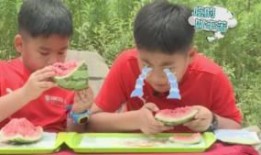 小鬼怎么吃瓜的,揭秘娱乐圈幕后真相