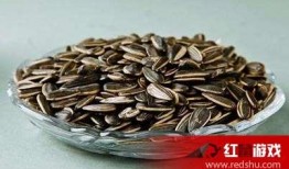 瓜壳姐吃瓜子,品味生活，乐享悠闲