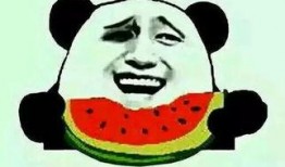 快穿之前排吃瓜,排吃瓜，解锁无尽奇幻之旅