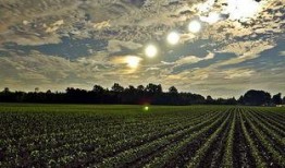 吃瓜延时摄影,延时摄影捕捉吃瓜瞬间之美