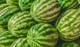 吃瓜2023,笑料百出，揭秘娱乐圈风云