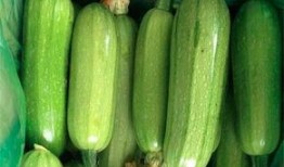 吃小瓜的功郊,揭秘“吃小瓜”的独特功效与郊外养生之道