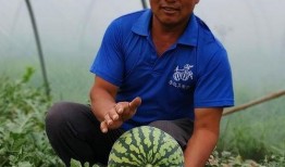 河南近期吃瓜新闻,揭秘本地热点事件背后的故事