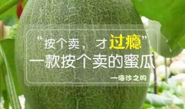 深圳沙井疫情吃瓜,吃瓜群众视角下的社区防疫众生相