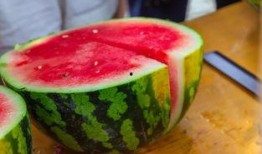 吃瓜组织,网络舆论场中的“瓜农”力量