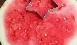 吃瓜不吐籽吗,揭秘瓜果食用新风尚