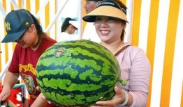 吃瓜吃到高兴,揭秘娱乐圈那些让人捧腹大笑的幕后故事