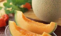 新屋吃哈密瓜,哈密瓜香满园