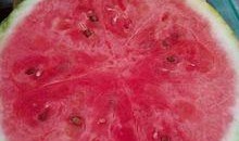 吃瓜吃到身上,从旁观者到“瓜衣”上身