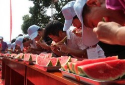 趣味吃瓜大赛推荐,趣味吃瓜大赛，一网打尽年度最热“瓜”事