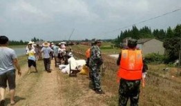 吃瓜第一线 瓜农,揭秘瓜农的辛勤与智慧