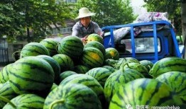 吃瓜人切瓜人,吃瓜人切瓜人生