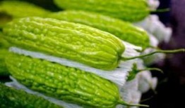 孕妇可以吃瓢瓜吗,瓢瓜的安全性及食用建议