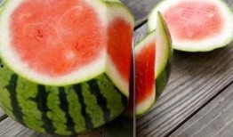 吃瓜群众玩法教程,吃瓜群众玩法教程全解析