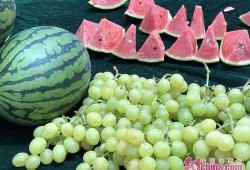 山东日照泰安吃瓜,美食之旅尽享丰收盛宴