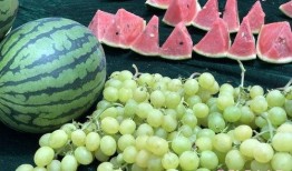 山东日照泰安吃瓜,美食之旅尽享丰收盛宴