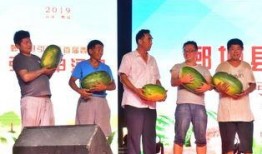 休闲广场吃瓜比赛,休闲广场吃瓜比赛欢乐开赛