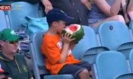 吃瓜男运动,揭秘运动中的趣味与激情