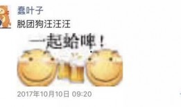 快乐吃瓜A群,揭秘网络社交圈的欢乐盛宴