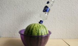 国外外网吃瓜,揭秘国外“吃瓜”文化现象