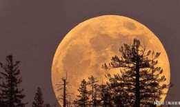 吃瓜月亮,揭秘宇宙中的奇特现象