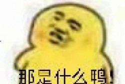 吃瓜群众表情包可爱,吃瓜群众表情包的可爱瞬间