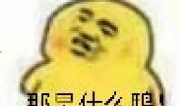 吃瓜群众表情包可爱,吃瓜群众表情包的可爱瞬间