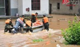 吃瓜第一线 瓜农,揭秘瓜农的辛勤与智慧