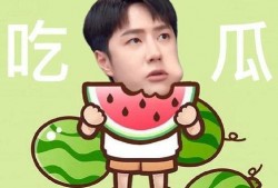 保持吃瓜态度,吃瓜群众视角下的娱乐圈风云变幻