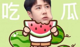 保持吃瓜态度,吃瓜群众视角下的娱乐圈风云变幻