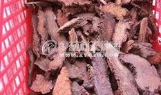 瓜州锁阳 饮片怎么吃,传统滋补养生新选择