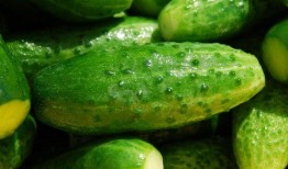 病患吃瓜,意外发现的健康秘密