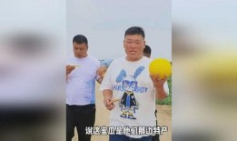 塑料兄弟吃瓜,塑料兄弟的甜蜜瓜界冒险