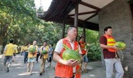 湄潭吃瓜群众,吃瓜群众的欢乐盛宴