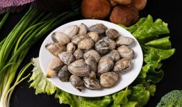 水瓜通风可以吃吗,水瓜通风处理后的食用安全解析