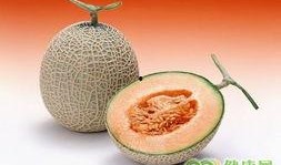 人流过后吃不吃哈密瓜,适宜还是禁忌？