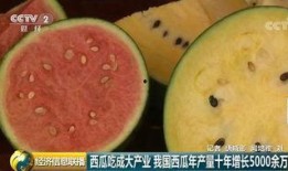 吃瓜群众中国香港