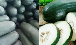 吃瓜6点,带你领略娱乐圈风云变幻