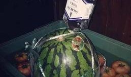 壮壮吃瓜,揭秘瓜界新宠儿的魅力之旅