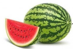 水瓜通风可以吃吗,水瓜通风处理后的食用安全解析