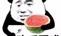 娱乐吃瓜酱语录