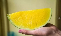 江阴吃瓜最新